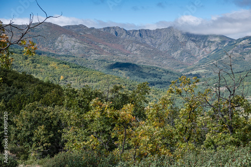 Sierra Norte de Guadalajara Natural Park, Cantalojas, Guadalajara, Spain