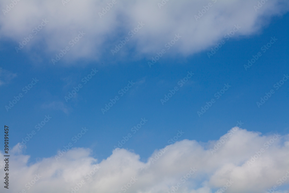 Fototapeta premium 初夏の空