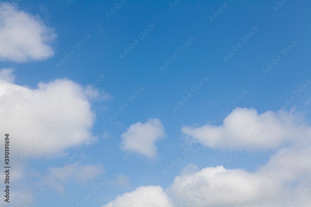 Fototapeta premium 初夏の空