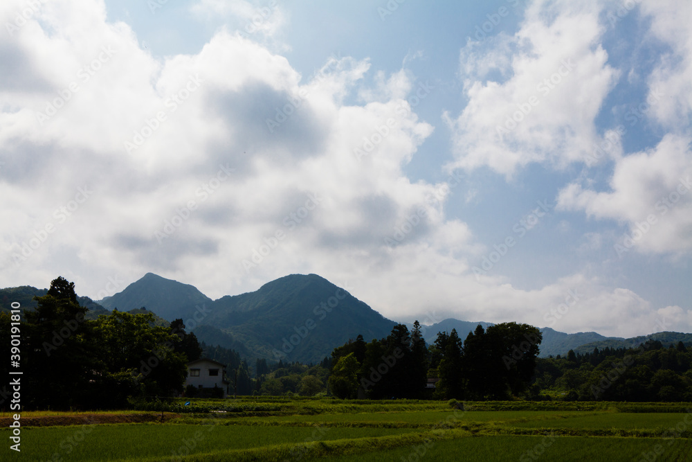 三条市の田園風景