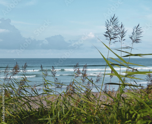 Blick zum Strand und zum Surfer