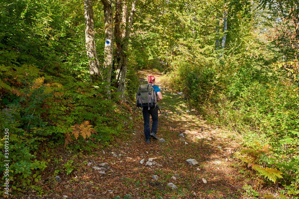 Nature photographer hiking into the forest