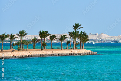 Island with palm trees on the Red Sea in Egypt