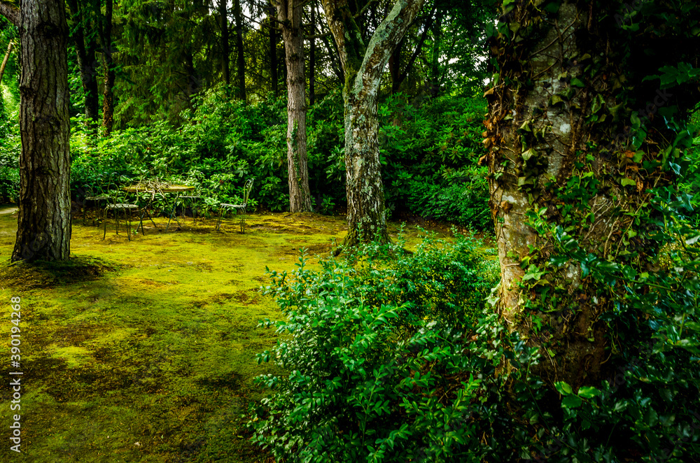 Obraz premium Reportage Nature