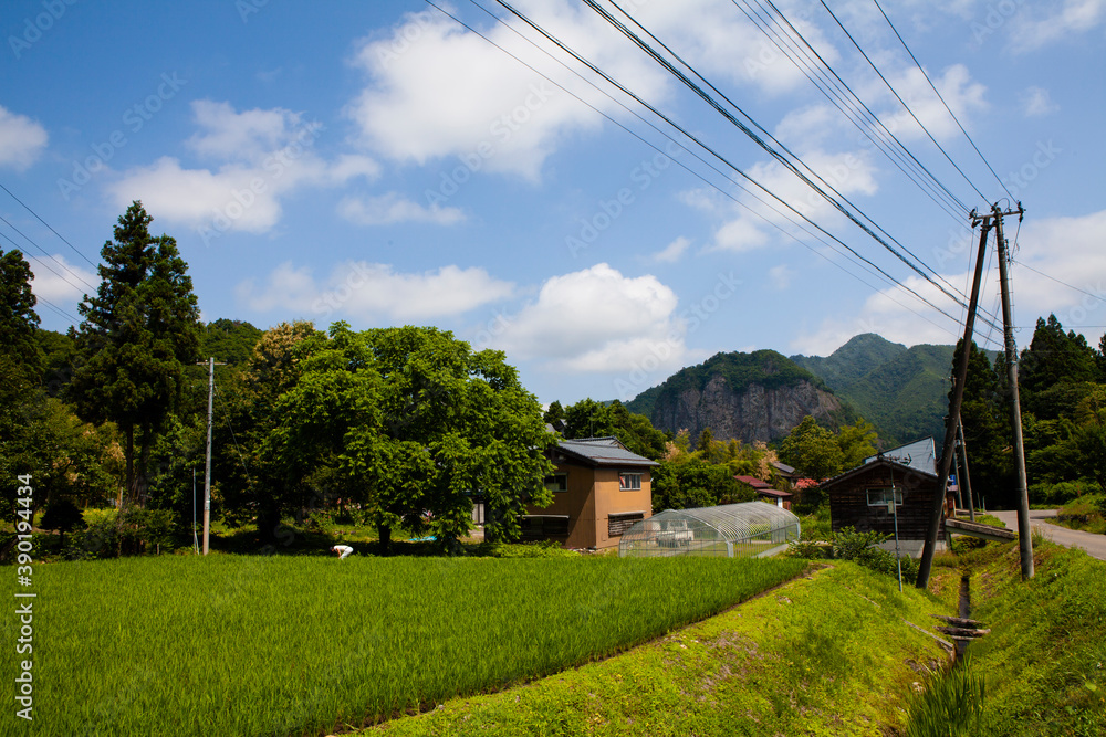 custom made wallpaper toronto digital三条市の風景