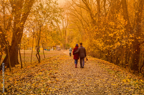 Young couple go for a walk in the autumn park