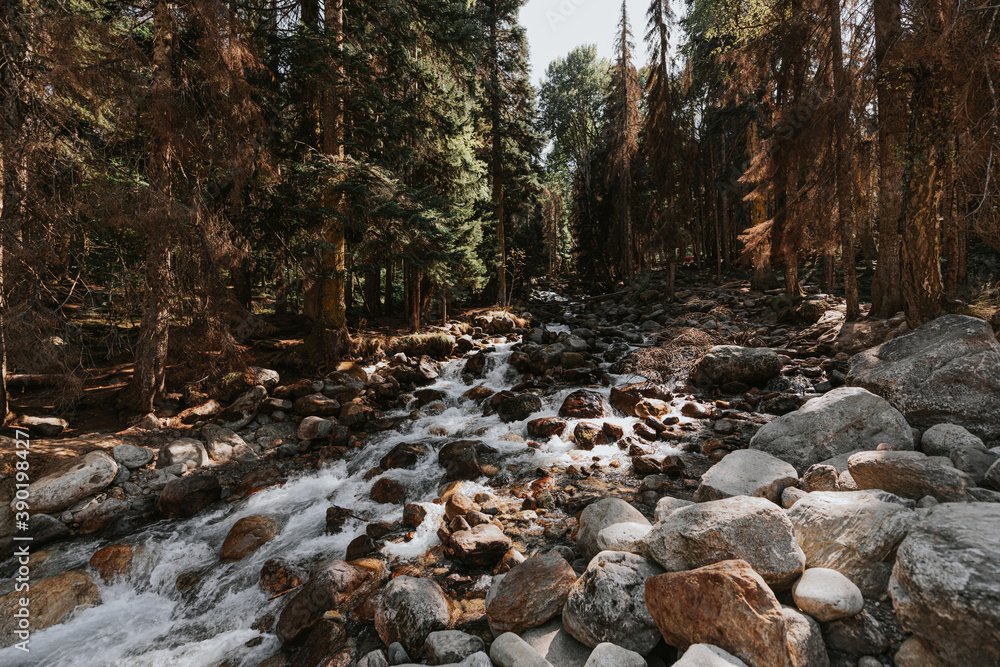 Mountain river in autumn forest. Stones in water. River rapids. Moody dark color tone photo. Mountain river in autumn forest. Stones in water. River rapids. Moody dark color tone photo.