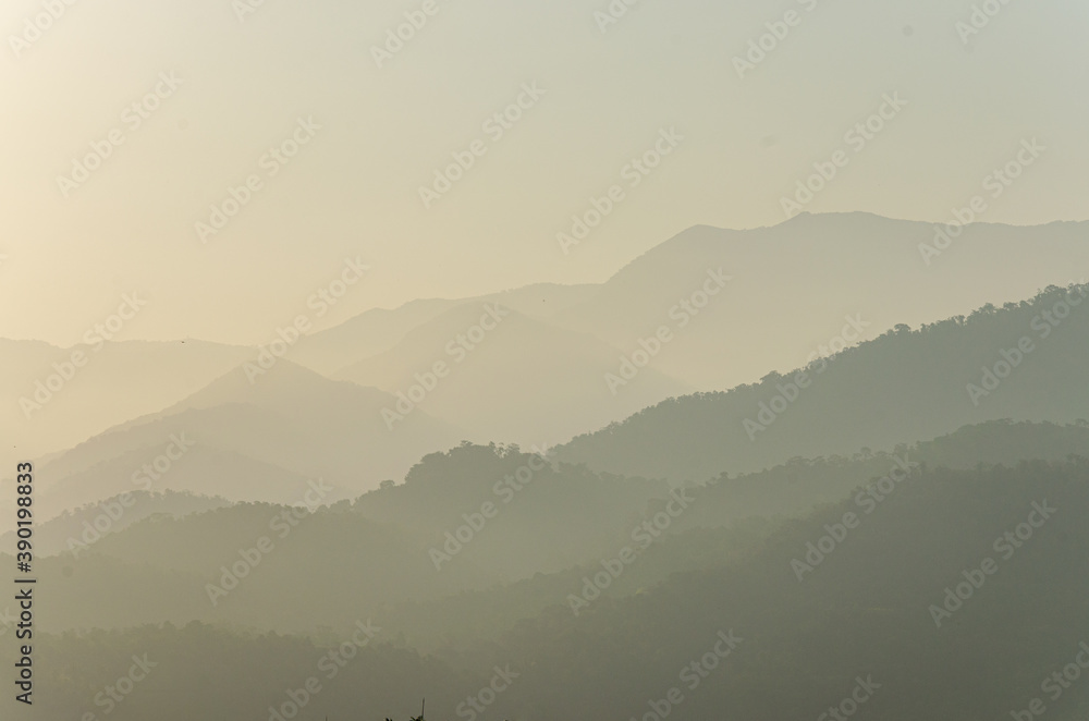 Scenic view of forest mountains with tropical foliage and a morning mist sky