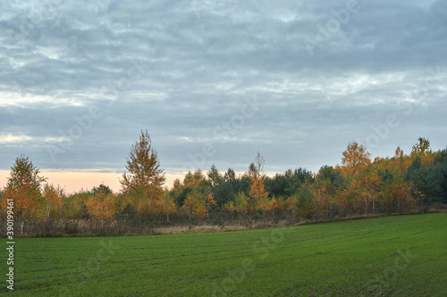 Obraz na płótnie Autumn landscape at sunset. w salonie