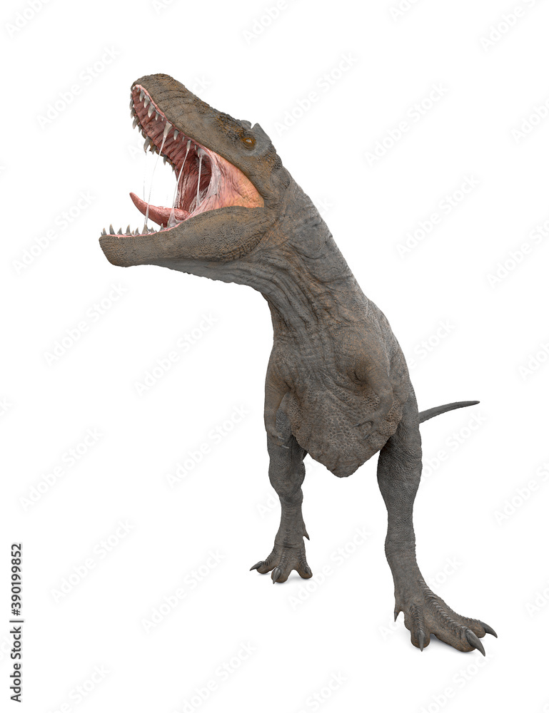 Fototapeta premium tyrannosaurus rex is calling the others