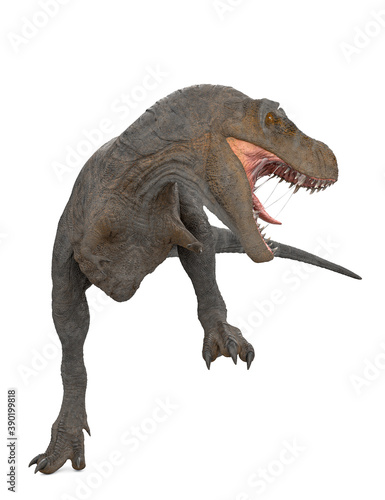 tyrannosaurus rex in white background