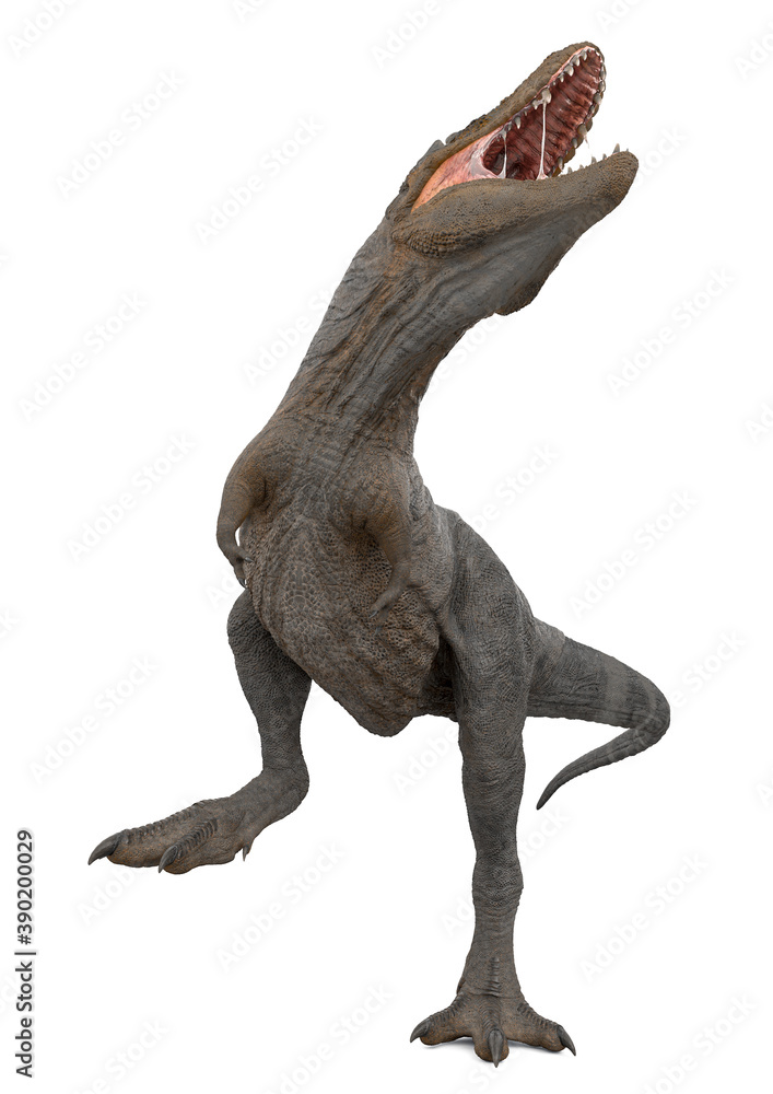 Fototapeta premium tyrannosaurus rex is standing up