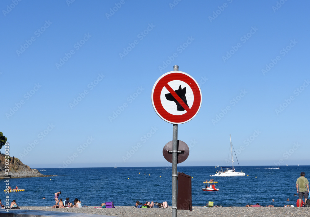 Plage interdite aux chiens Banyuls sur Mer  France 