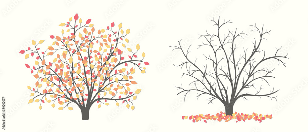 Plakat Autumn bush in two versions with leaves and without leaves