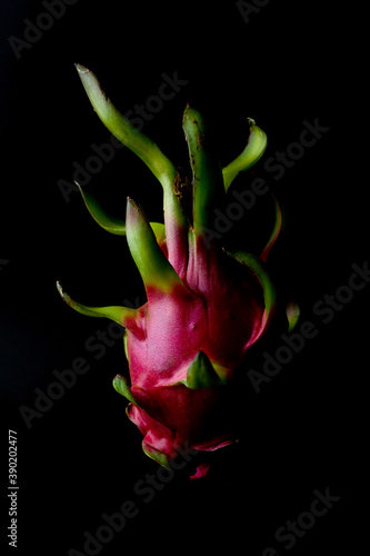 Close up of dragon fruit