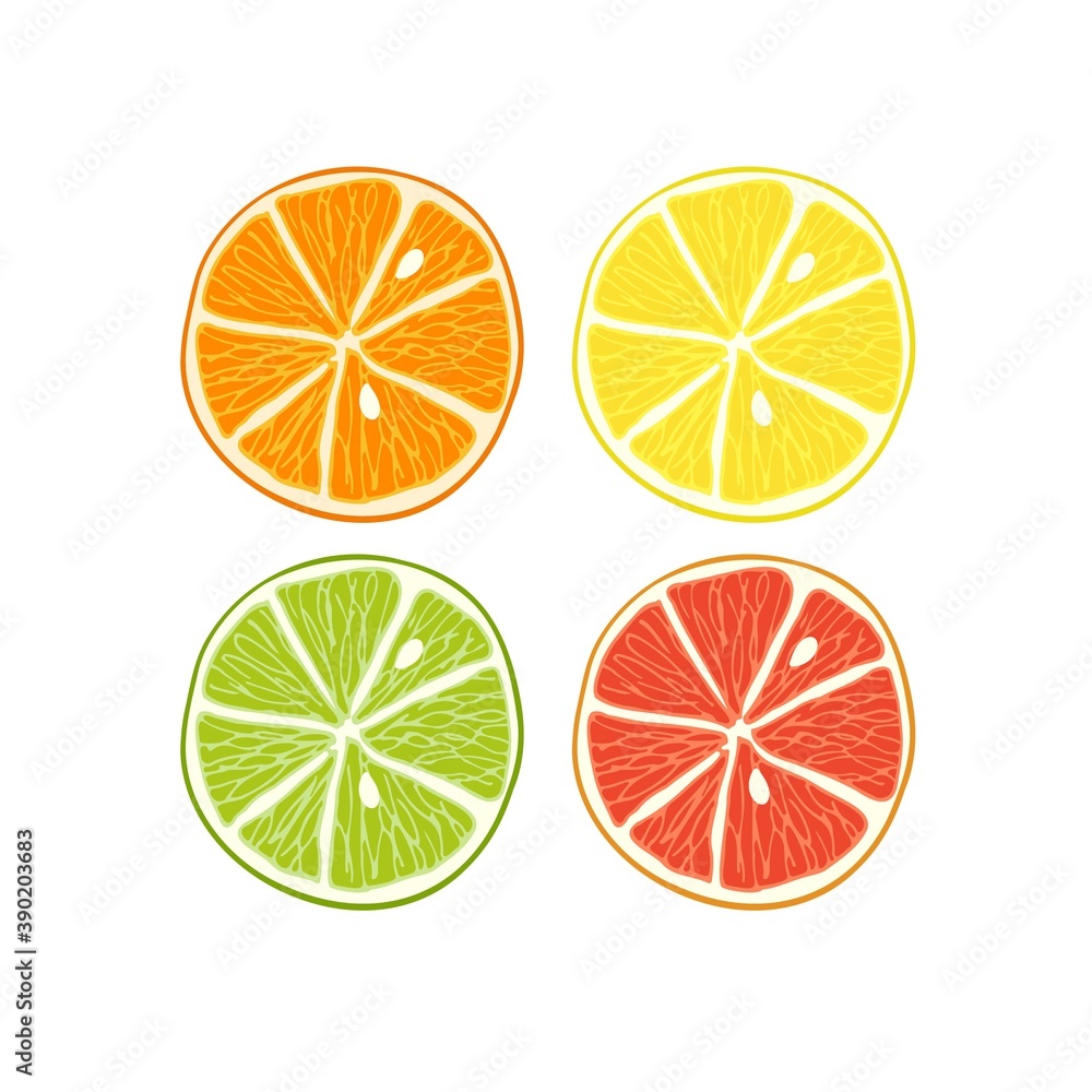 Citrus set. Slices of lime, orange, grapefruit, lemon. Bright colorfull isolated on white background. Candy sweet exotic slice juice. Vector illustration. Summer fruit icons. Fruit background.