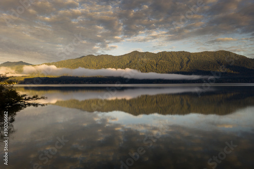 Quinault Lake morning reflections  Washington State