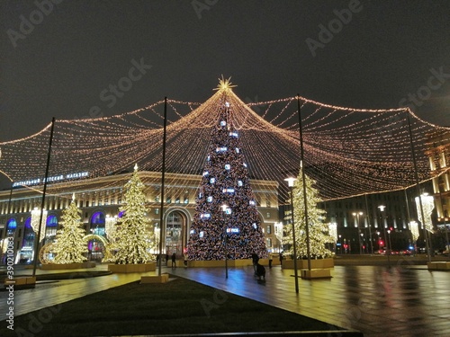Photography Christmas tree