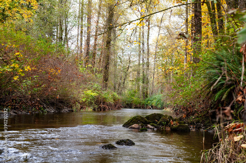 State of tranquility formed by forest and river in autumn