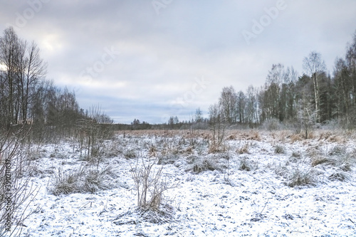 A field with trees is covered with snow on a cloudy winter day.