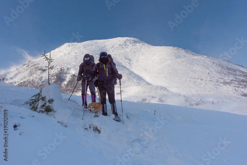 Tourists with a dog travel in a blizzard and bad weather in the mountains