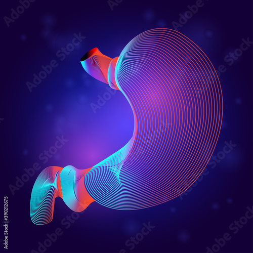 Human stomach medical structure anatomy. Outline vector illustration of body part internal organ in 3d line art style on neon abstract background