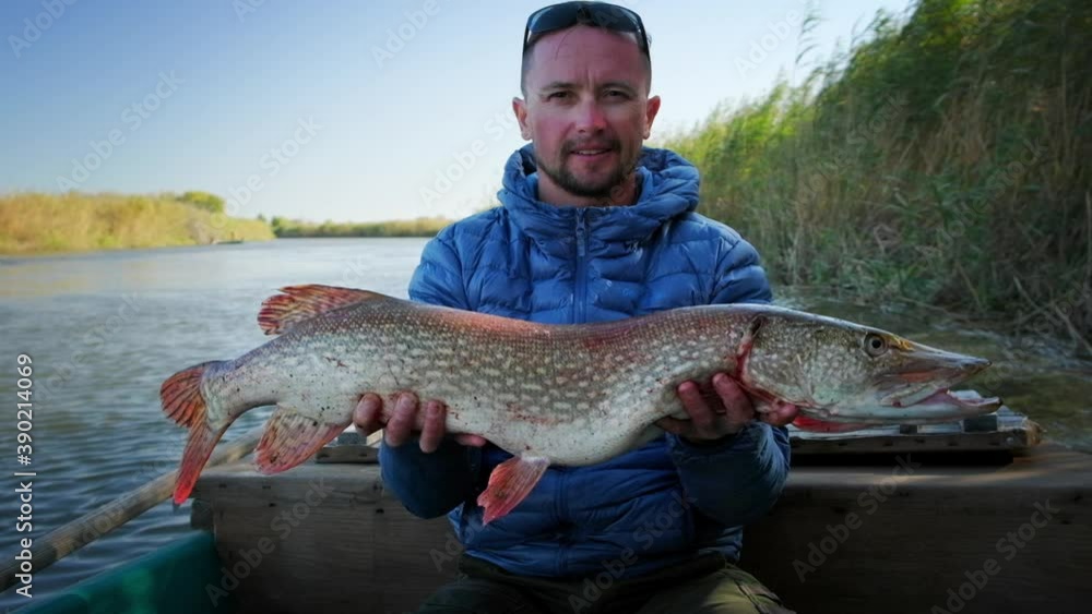 Angler with fish. Fisherman holds trophy pike fish (Esox lucius) being in the boat on a river Angler with fish. Fisherman holds trophy pike fish (Esox lucius) being in the boat on a river