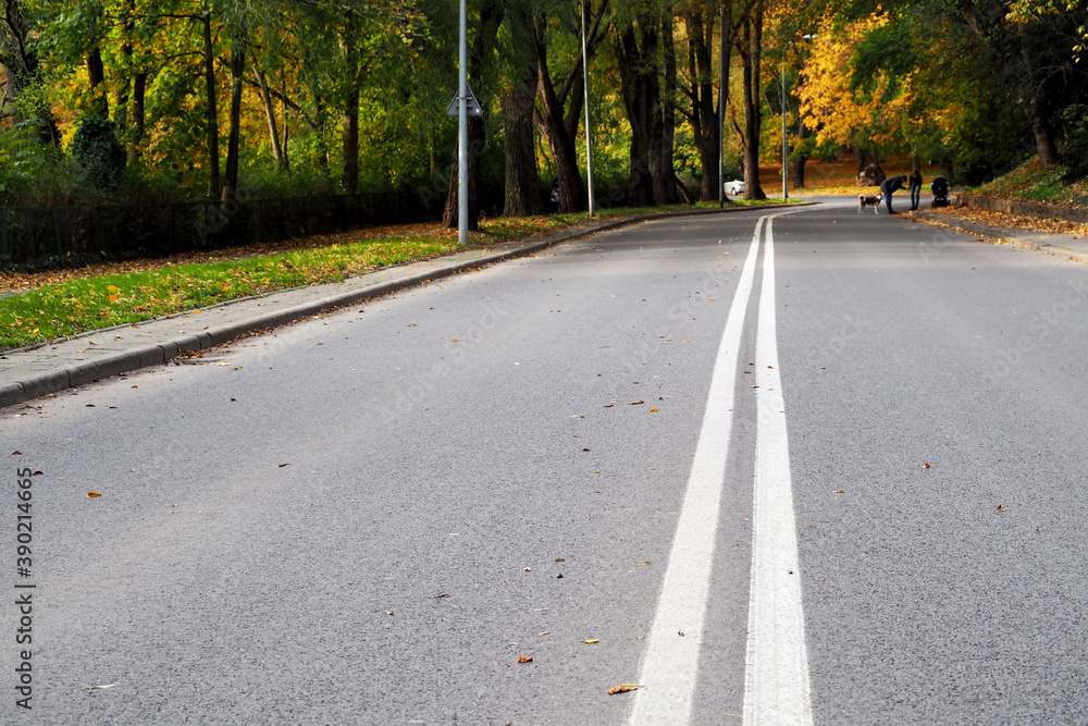 an empty road with a white marking strip and the forest around it on an autumn day an empty road with a white marking strip and the forest around it on an autumn day
