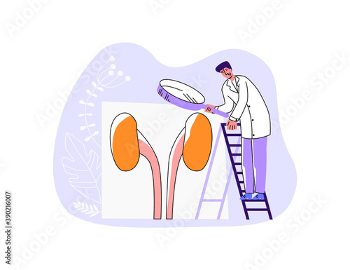 Vector illustration of doctor examining urinary system through enlarged magnifying glass. Concept instrumental and laboratory diagnostics in Nephrology, kidney, bladder diseases.