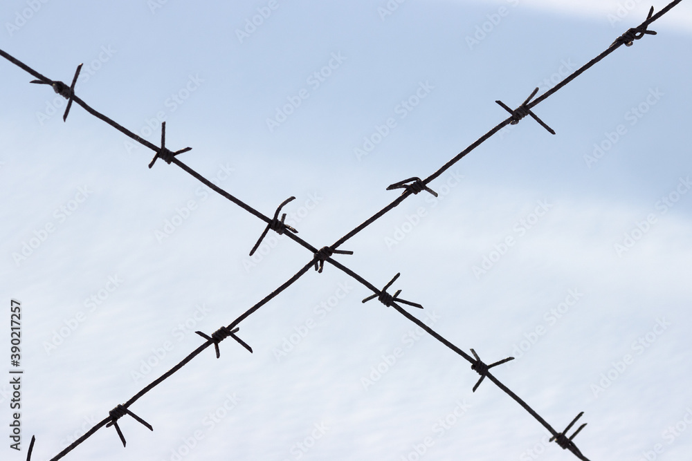 Old barbed wire on a background of snow. Barbed wire closeup. Shallow depth of field. Siberia, Russia. Old barbed wire on a background of snow. Barbed wire closeup. Shallow depth of field. Siberia, Russia.