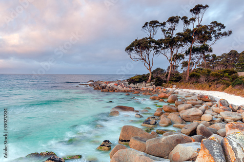 Fotografi Bay Of Fires Tasmania