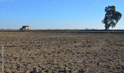 Campos  despues de la recolecta del arroz en el delta del Ebro en la provincia catalana del Montsia, España