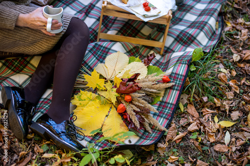 picnic in autumn