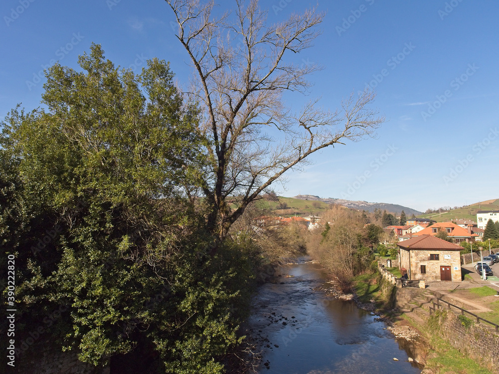 Trees next to the river bank in the town of Liérganes