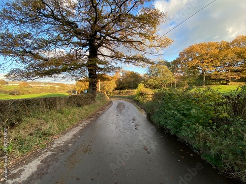 View along, Raikes Lane, with a wet road, and autumn leaves in, Tong, Bradford, UK photo