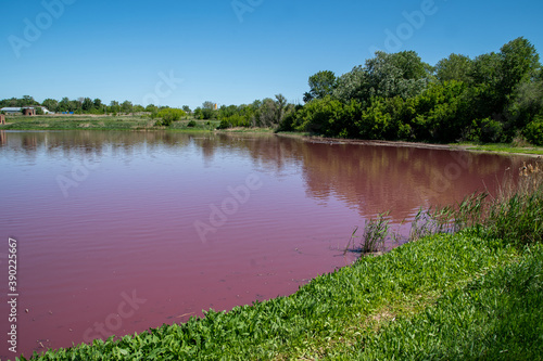Fototapeta Naklejka Na Ścianę i Meble -  pink small lake