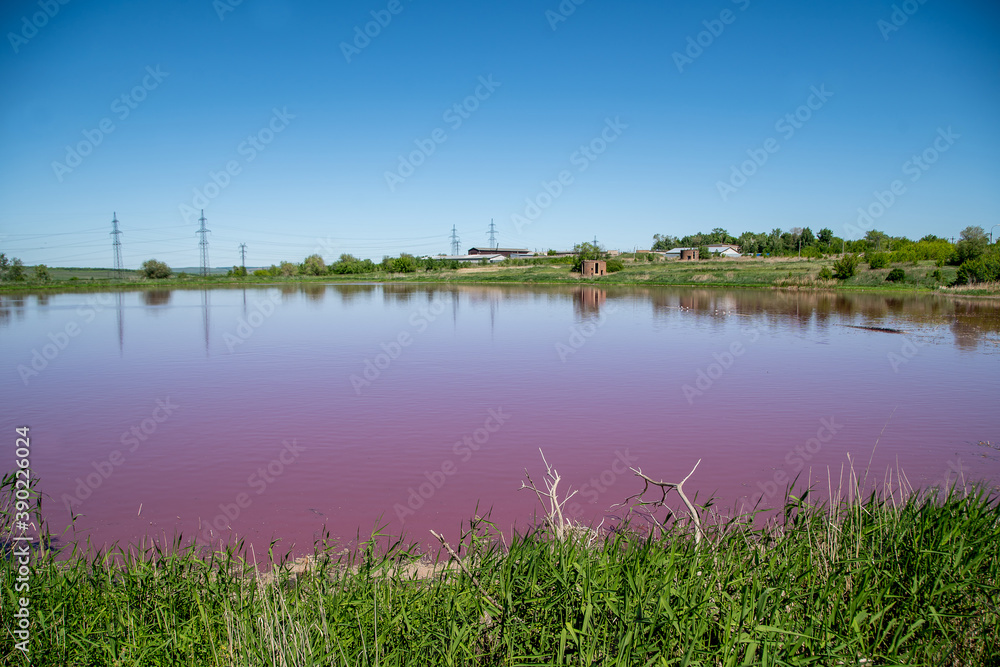 pink small lake pink small lake