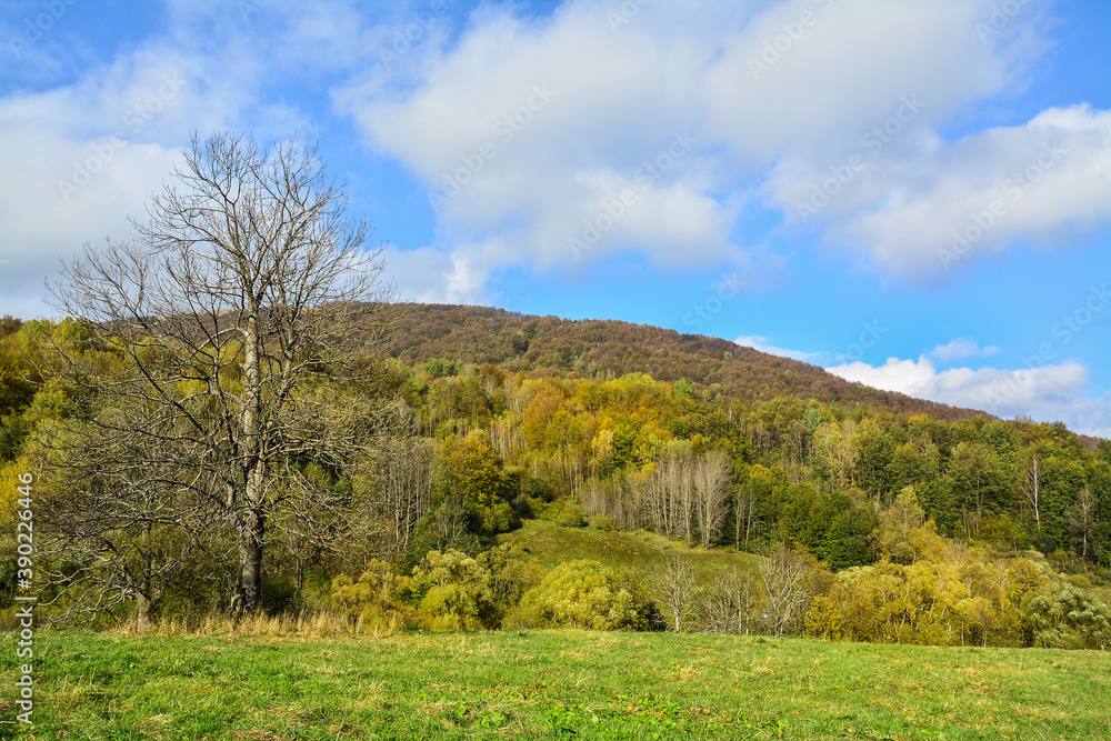 Obraz premium Bieszczady Mountains in Poland, beautiful autumn landscape