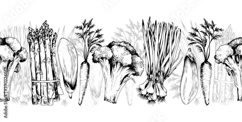 Seamless horizontal banner with green vegetables.