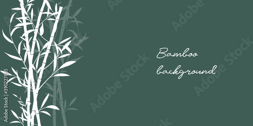 Sumi-e, u-sin or go-hua oriental art stylization of ink painting. Vector eco background with ink bamboo stems and leaves. Isolated on green, place for text, copyspace. Bamboo silhouette