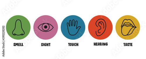 Five Senses Concept With Human Organs