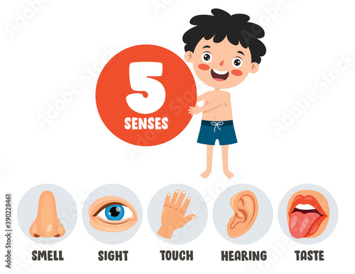 Five Senses Concept With Human Organs