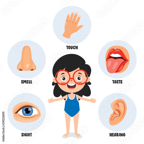Five Senses Concept With Human Organs