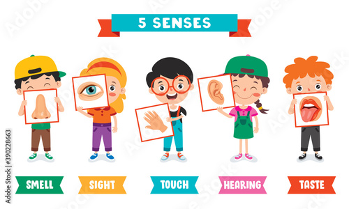 Five Senses Concept With Human Organs photo