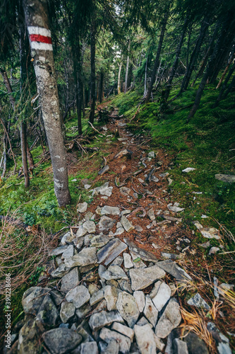 On a rocky hill. Mountain trail. photo