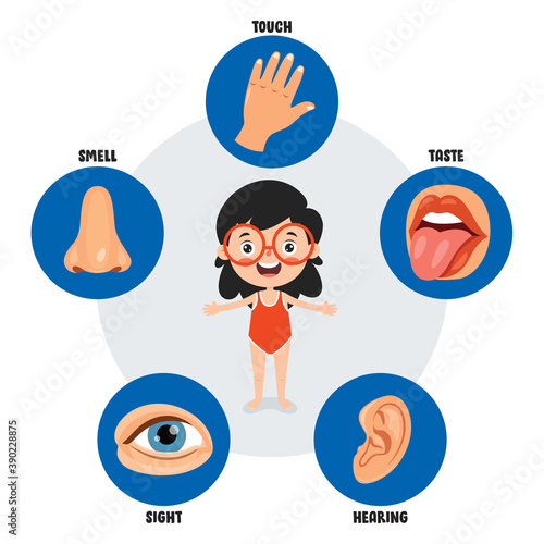Five Senses Concept With Human Organs