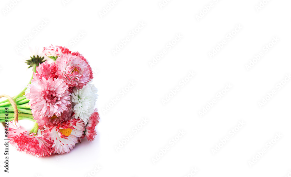 Bouquet of garden daisies with a red ribbon in a pot on a rough table. Blurred background. Bouquet of garden daisies with a red ribbon in a pot on a rough table. Blurred background.