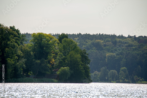 Water forest scene Grosser Muggelsee Markische Schweiz Buckow Brandenburg Germany photo