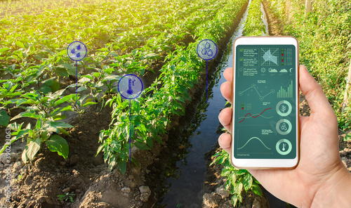 The farmer holds a phone and receives information parameters and data from agricultural field. Advanced technologies in agriculture. Agroindustry and agribusiness. Hi-tech. European organic farming. photo