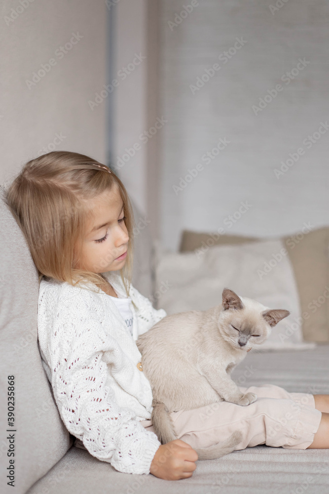 Little cute girl sitting on sofa with kitten. Little cute girl sitting on sofa with kitten.
